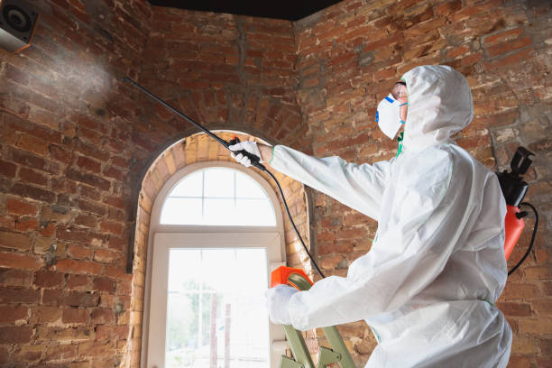 Environmental Consulting for Mold Prevention in Runaway Bay, TX